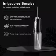 Irigator Oral Electric Portabil 220 ml, 3 Moduri, 4 Capete, 3000 Puls/min, Reîncărcabil USB